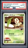 Chikorita M