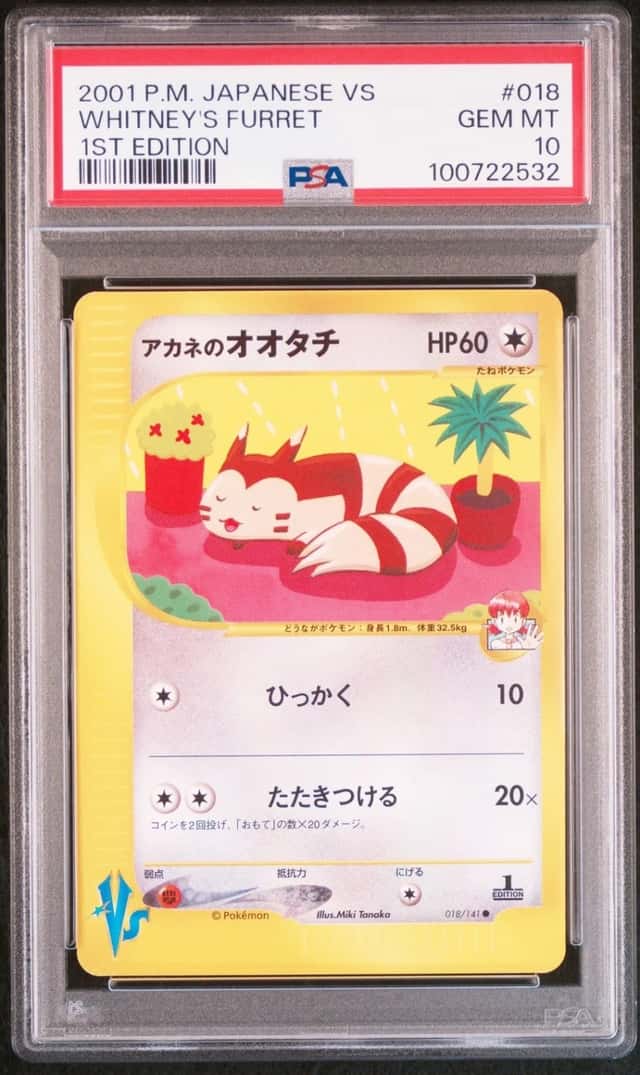 Whitney's Furret