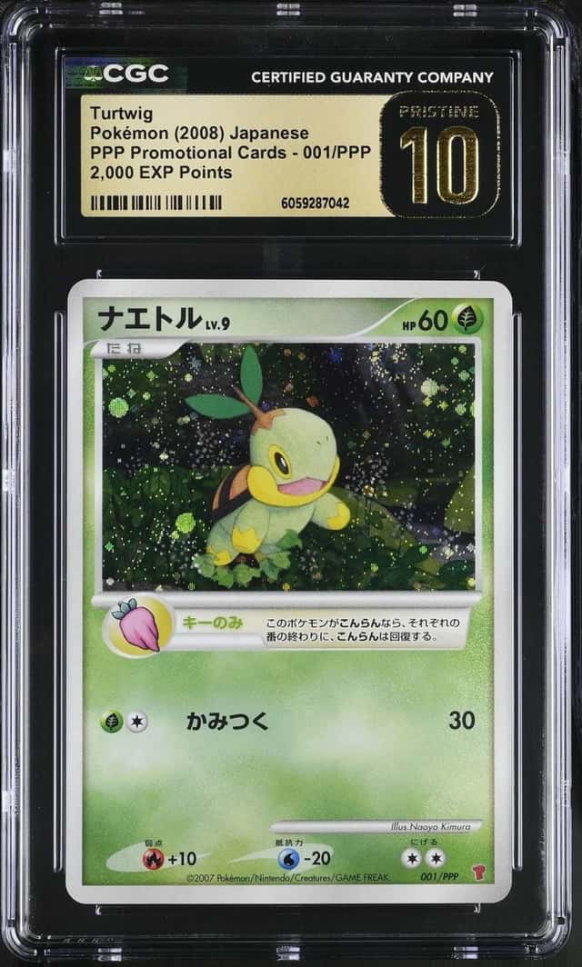 Turtwig