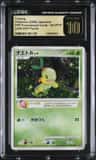 Turtwig