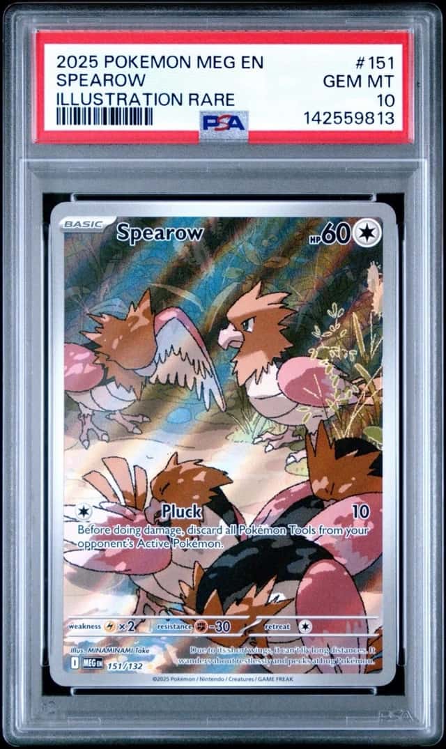 Spearow