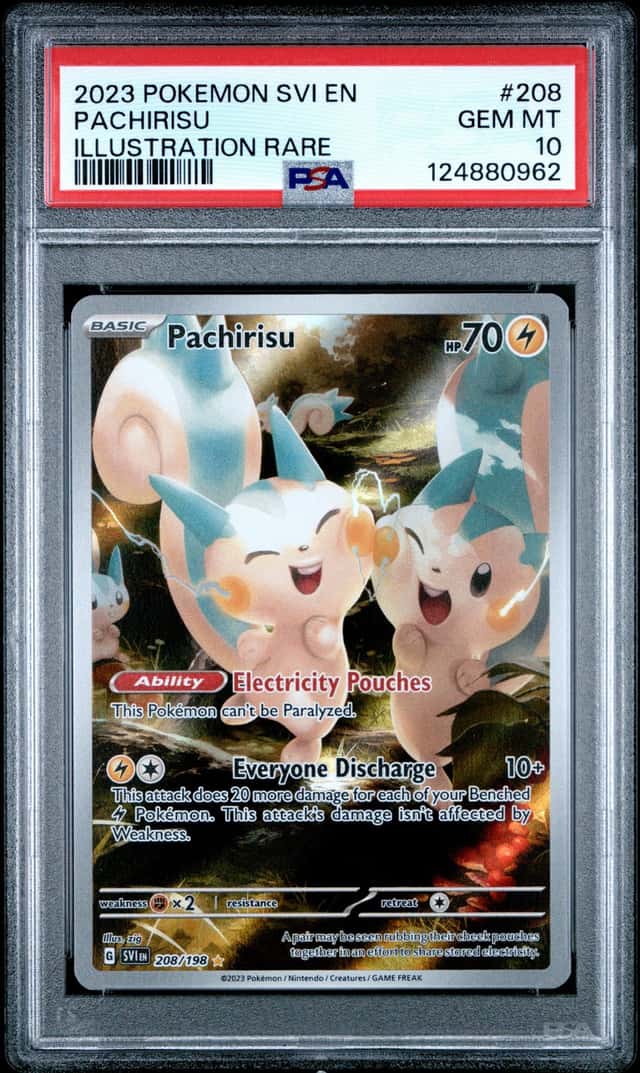 Pachirisu