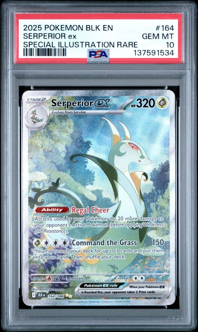 SERPERIOR ex