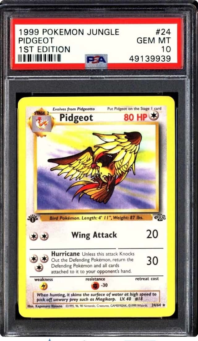 Pidgeot