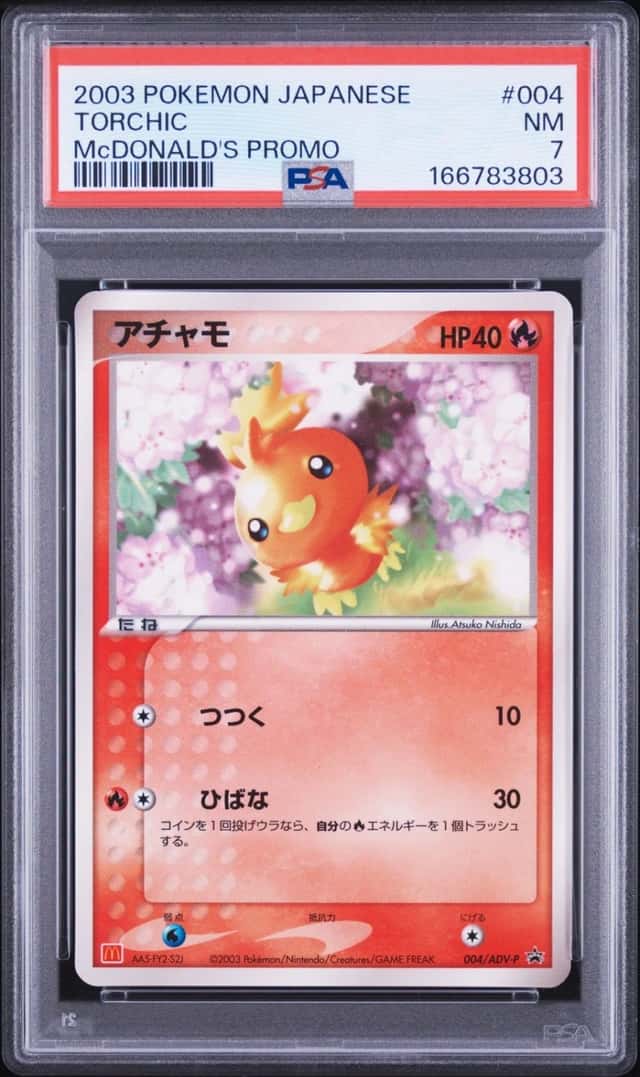 Torchic