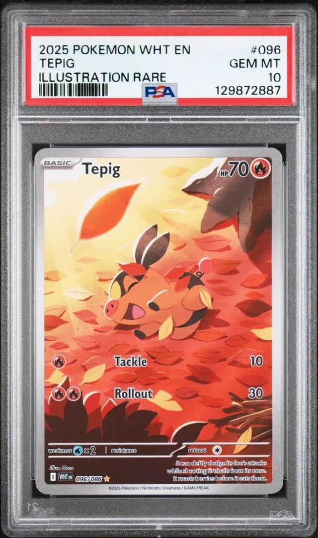 Tepig