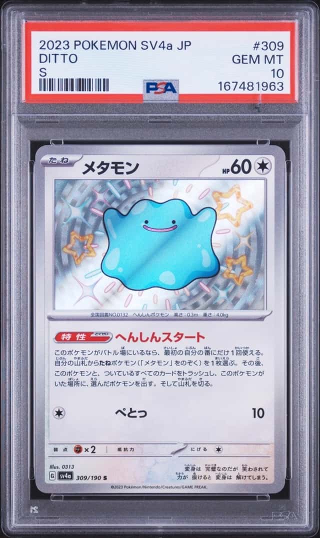 Ditto