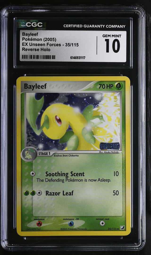 Bayleef
