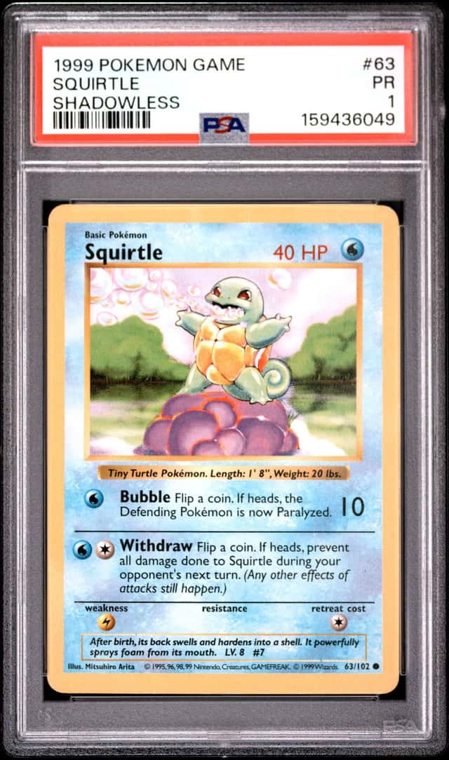 Squirtle