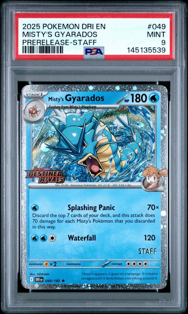 Misty's Gyarados