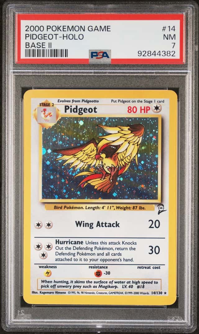 Pidgeot
