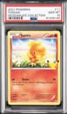 Torchic