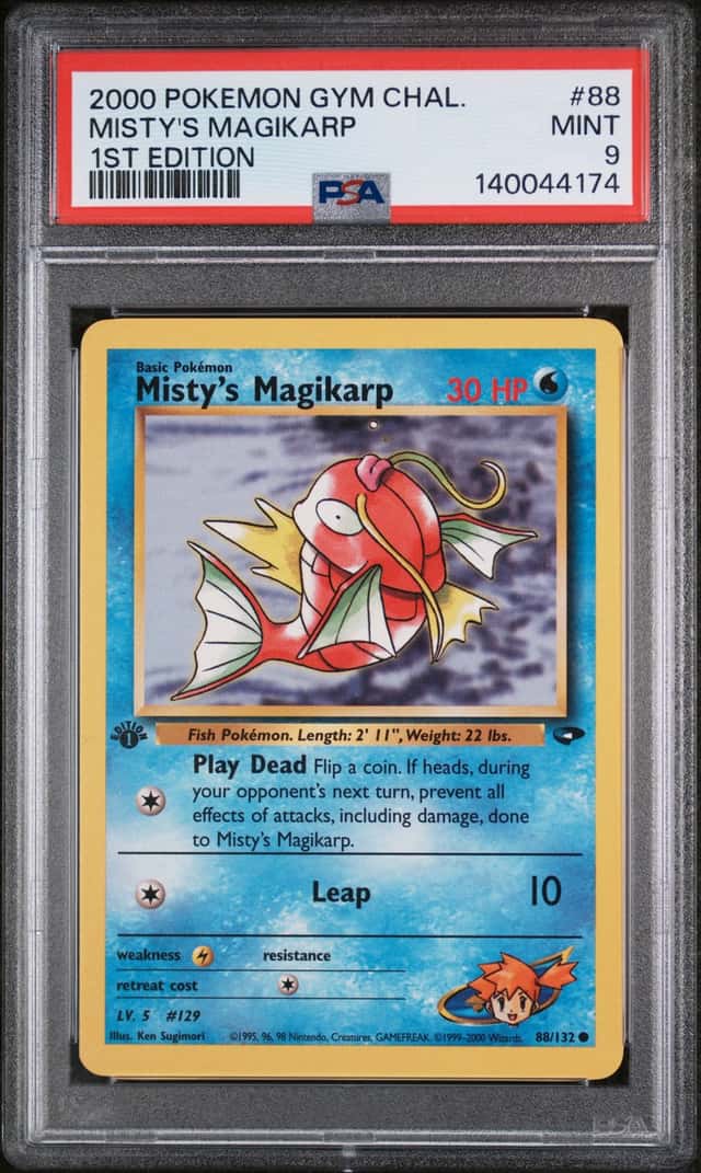 Misty's Magikarp