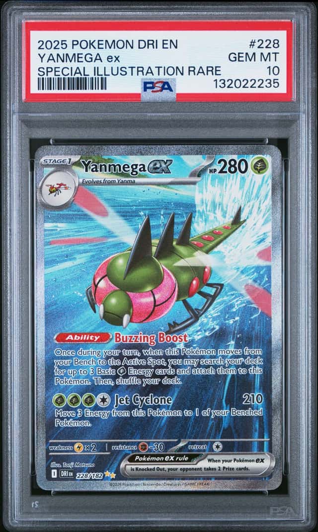 YANMEGA ex