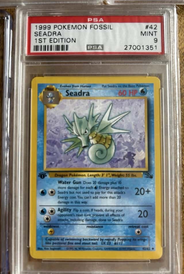 Seadra