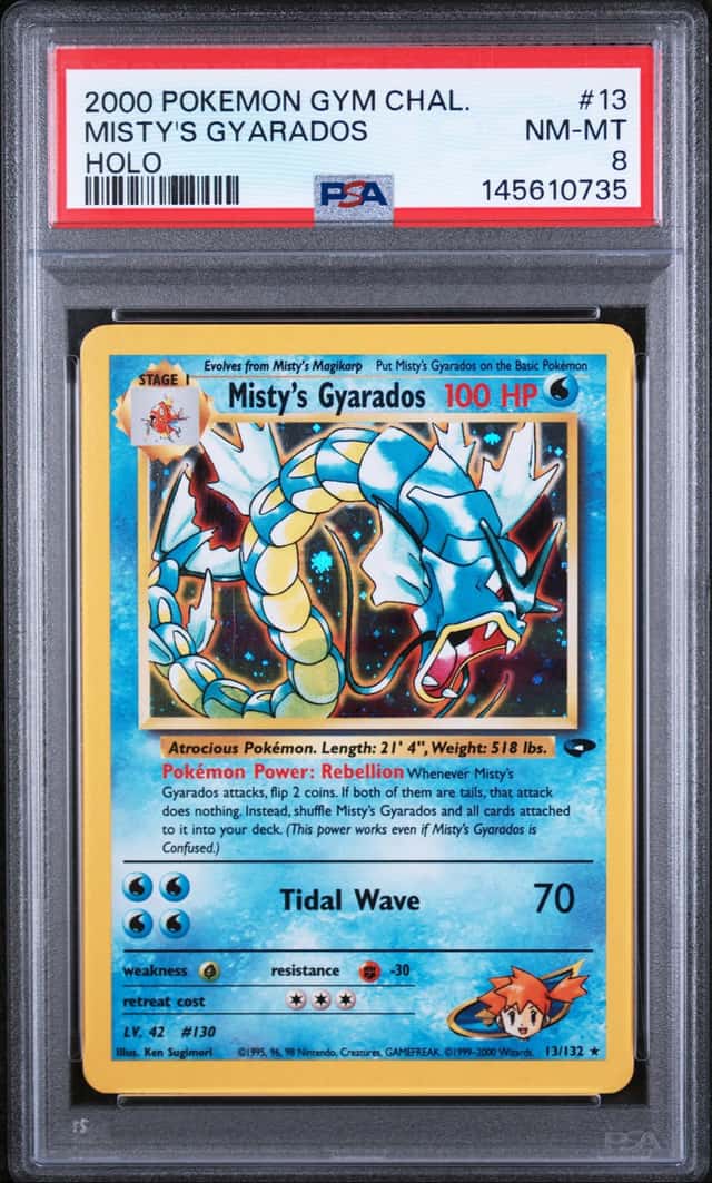 Misty's Gyarados