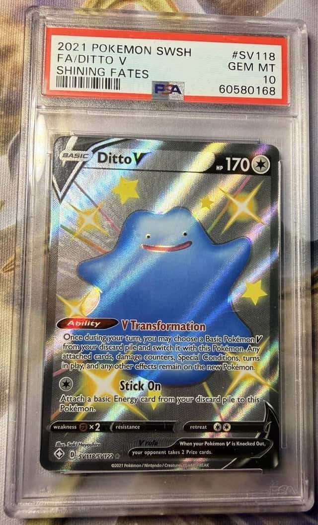 Ditto V
