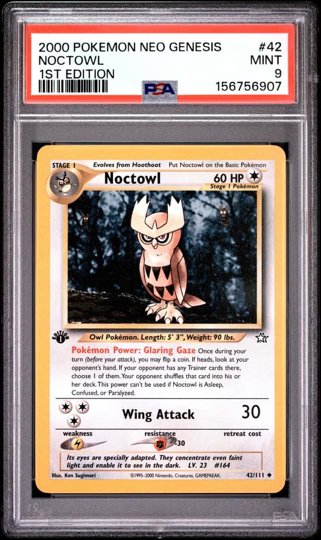 Noctowl