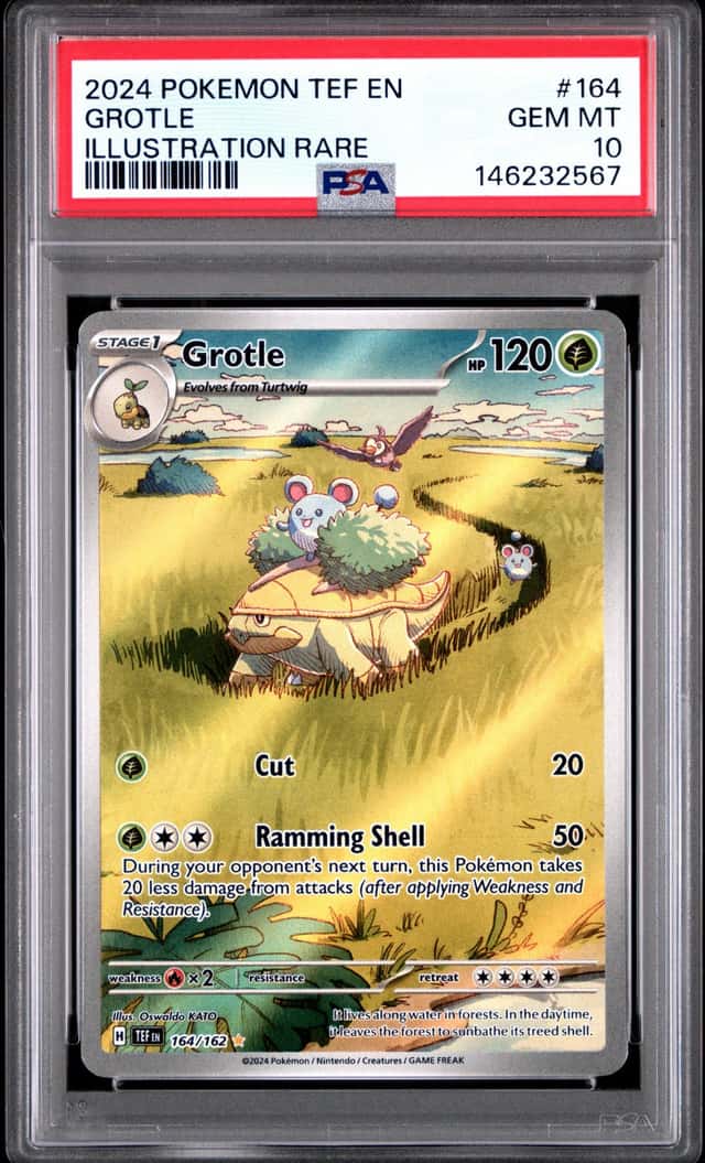 Grotle