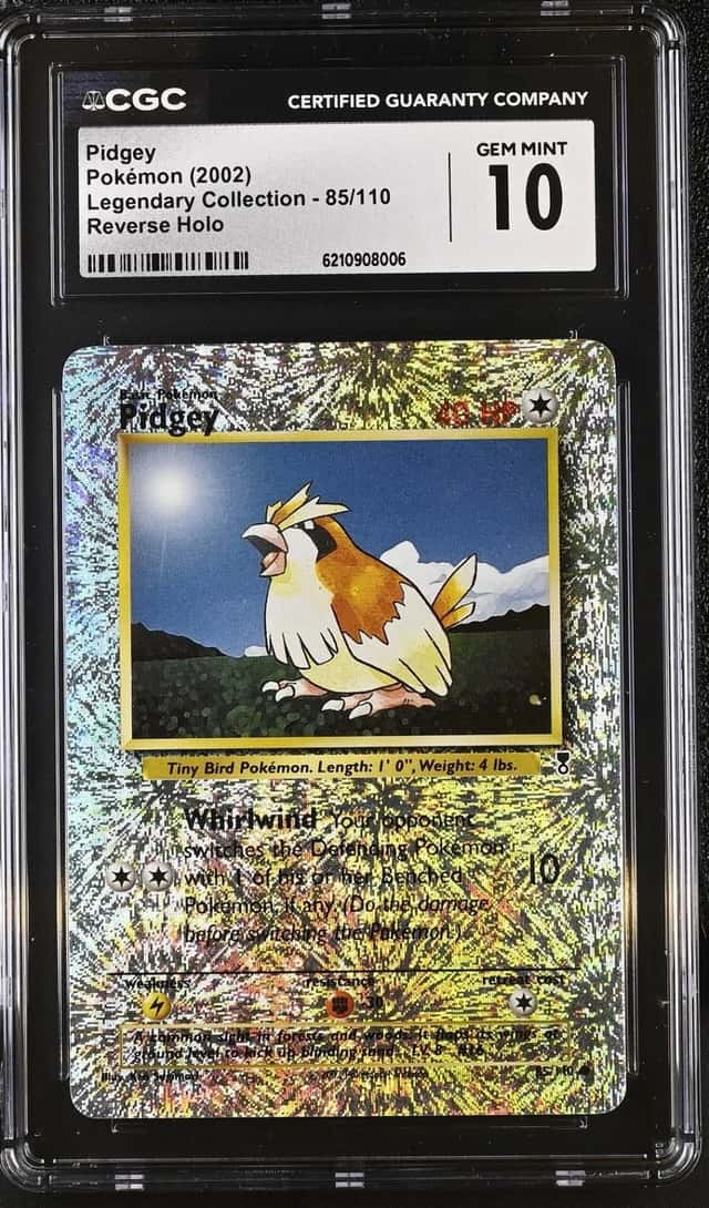 Pidgey