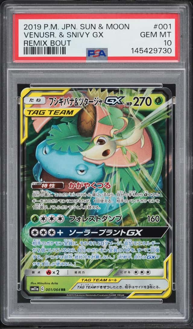 Venusaur & Snivy GX