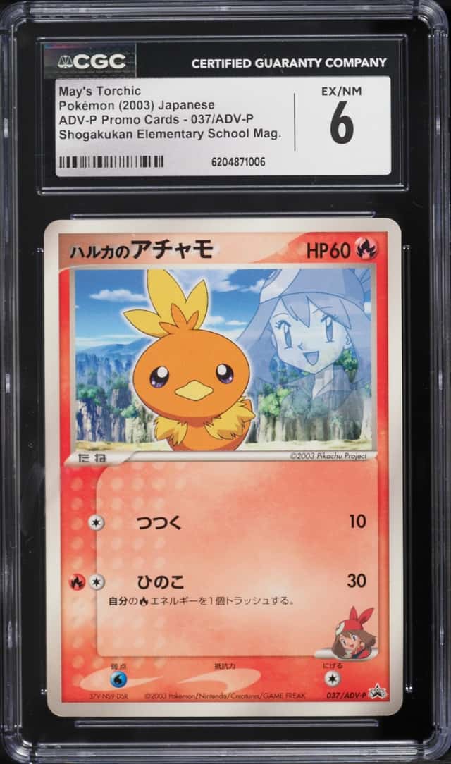 May's Torchic
