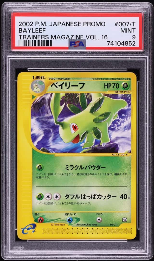 Bayleef