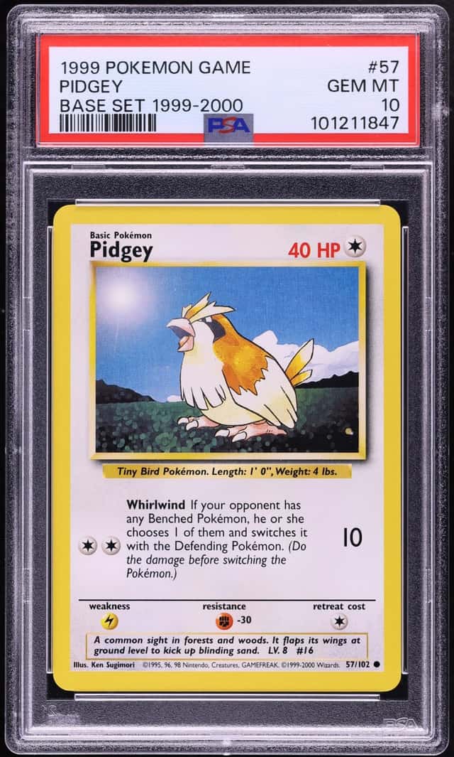 Pidgey