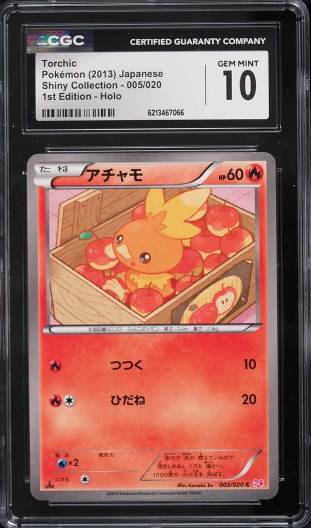 Torchic