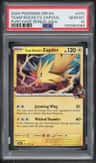 Team Rocket'S Zapdos