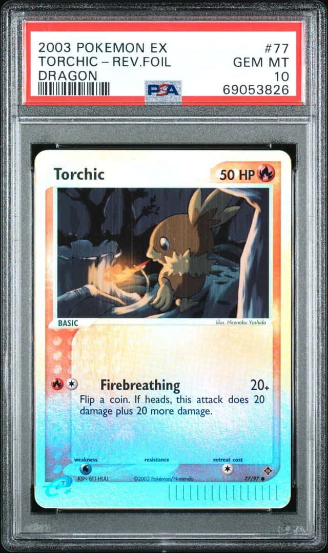 Torchic