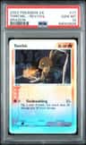 Torchic