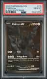 Zekrom Ex
