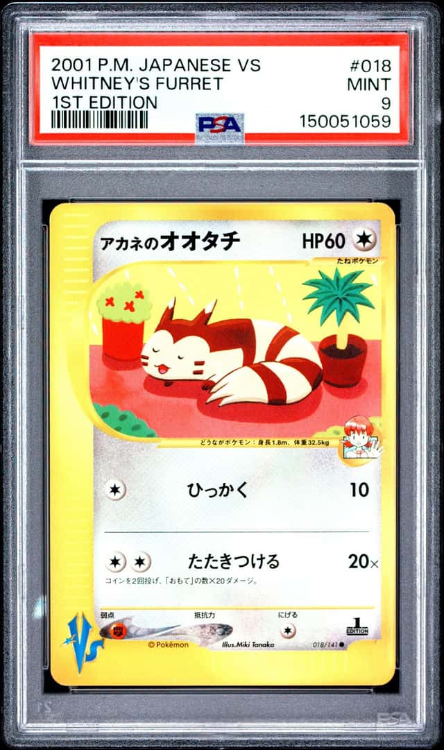 Whitney's Furret