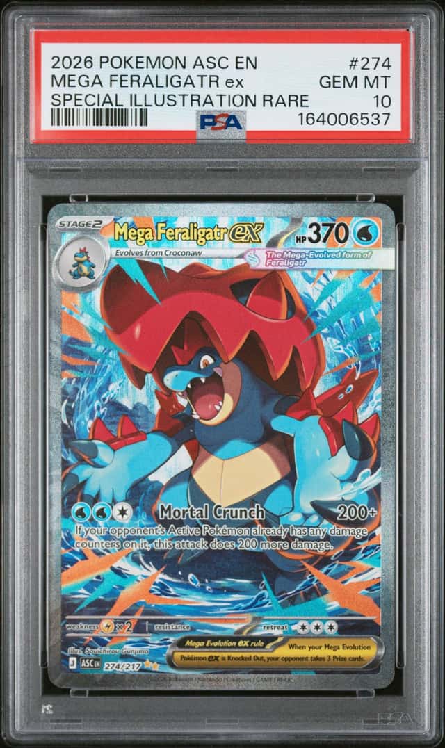 MEGA FERALIGATR ex