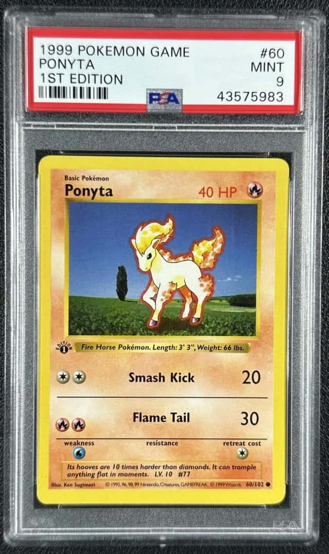 Ponyta