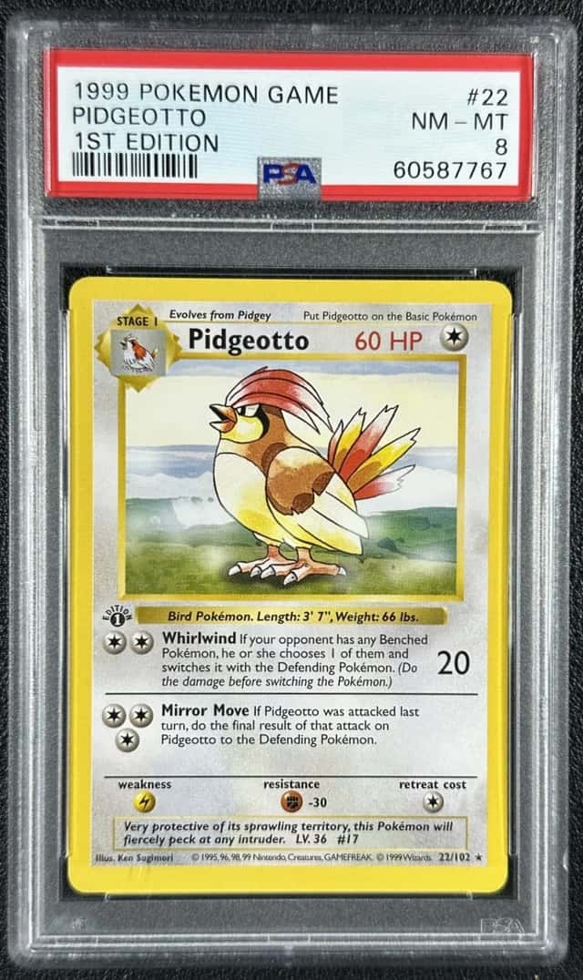 Pidgeotto