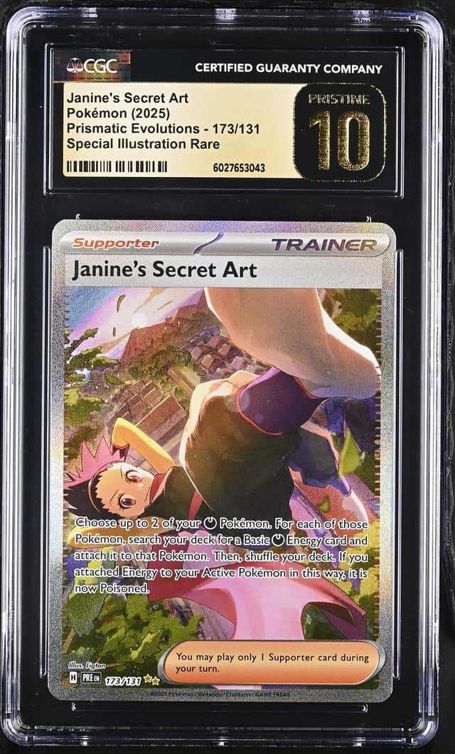 Janine's Secret Art
