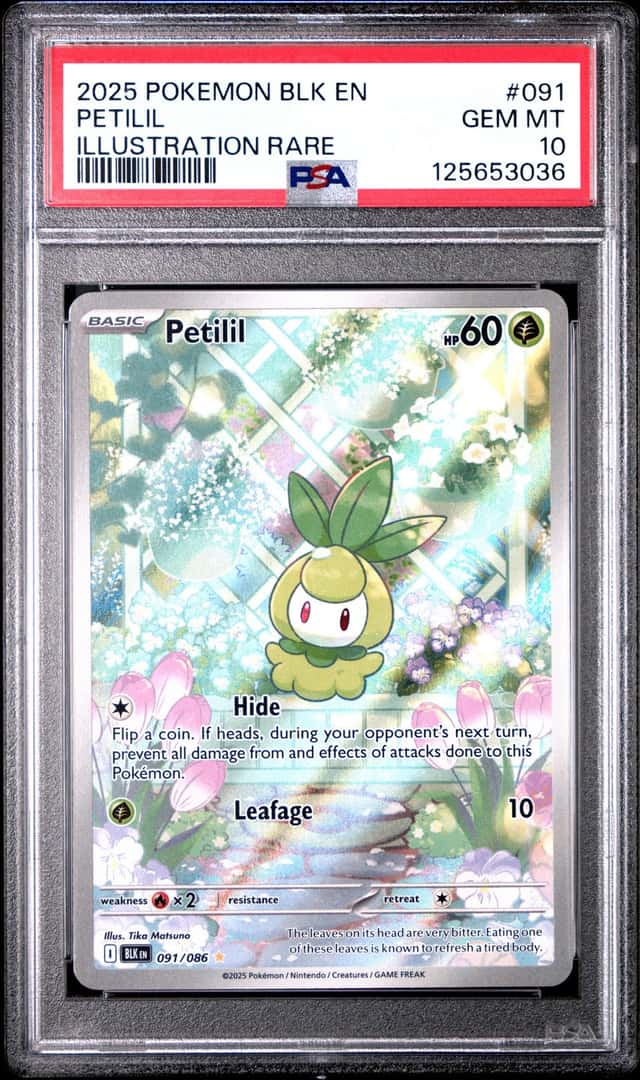 Petilil