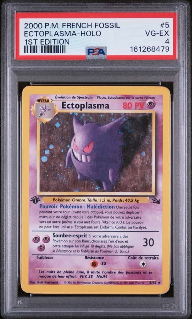 Ectoplasma