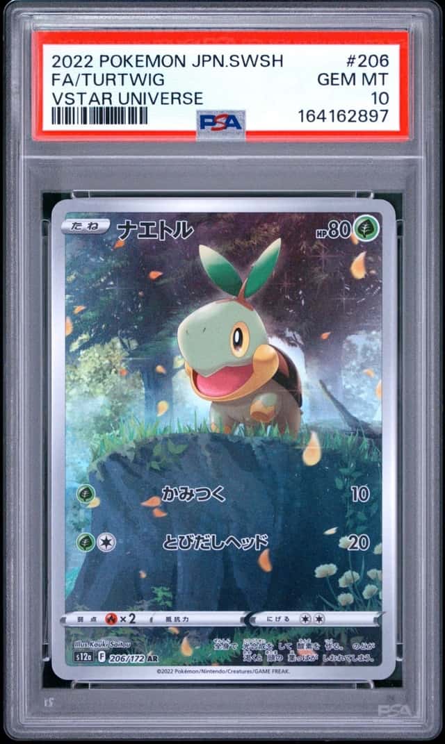 Turtwig