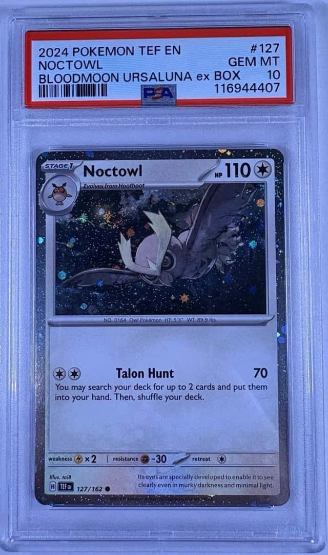 Noctowl