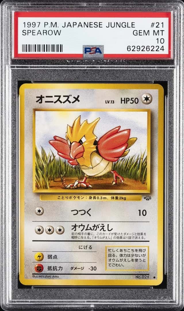 Spearow