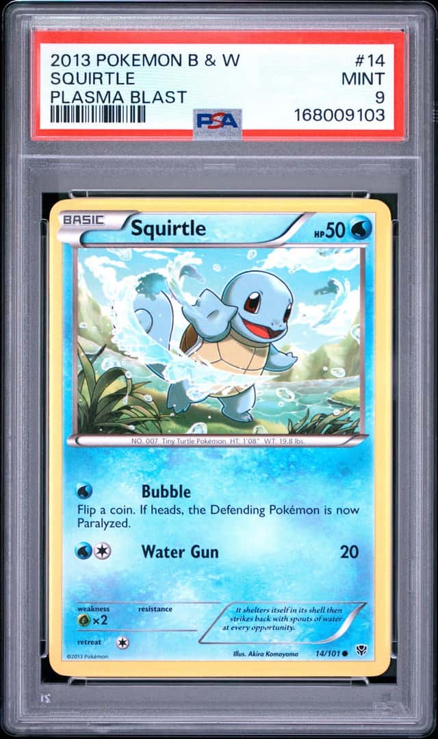 Squirtle