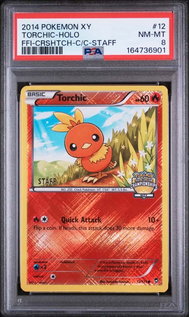 Torchic