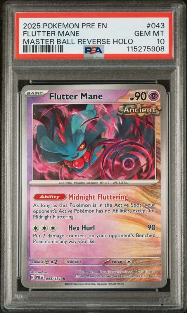 Flutter Mane