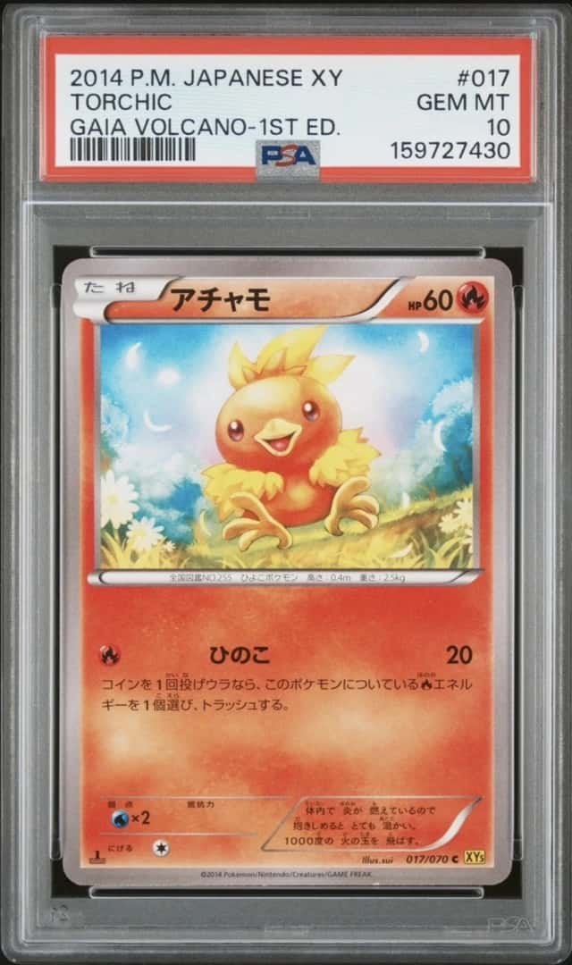 Torchic