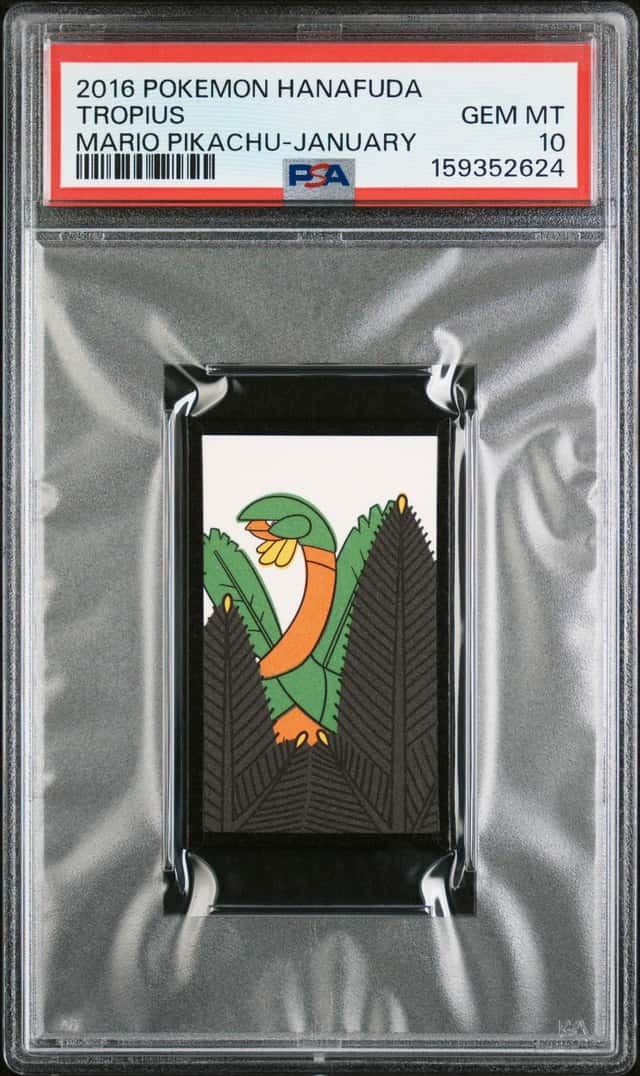 Tropius