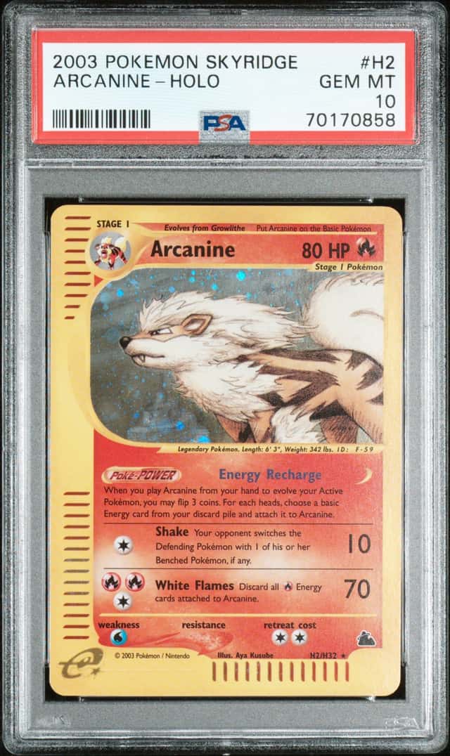 Arcanine