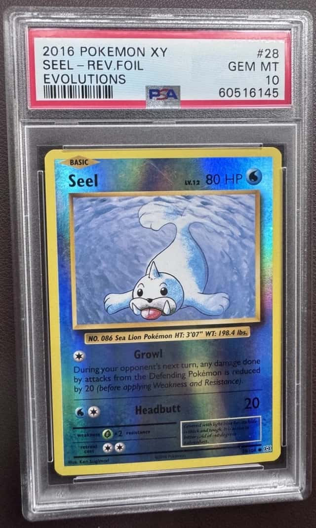 Seel